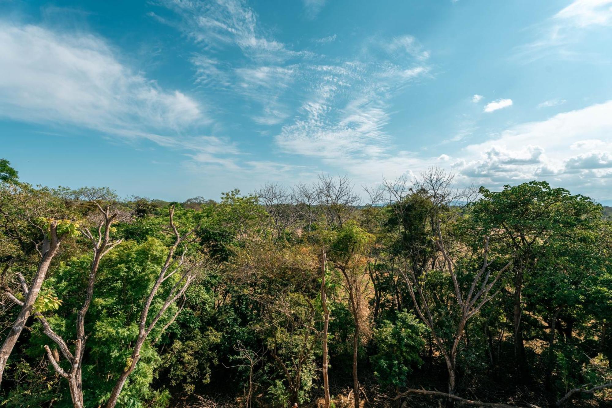Alaya Yoga & Surf & Retreat Hotel Playa Venao Bagian luar foto